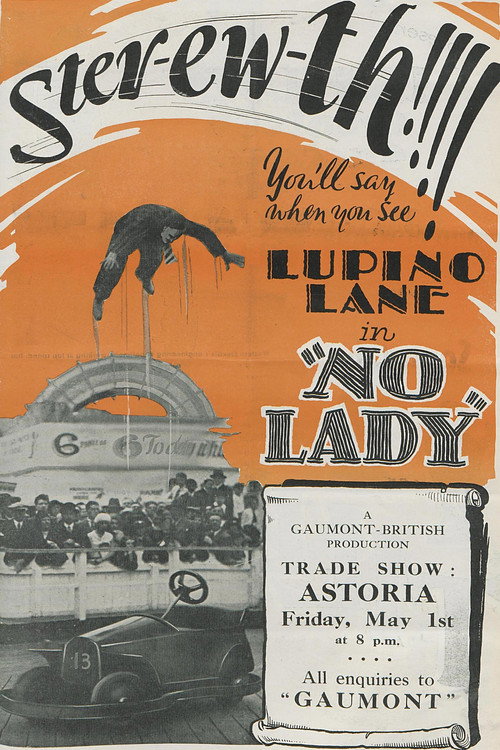 No Lady poster 3