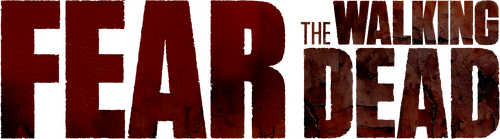 VIRGIN BHANUPRIYA Logo