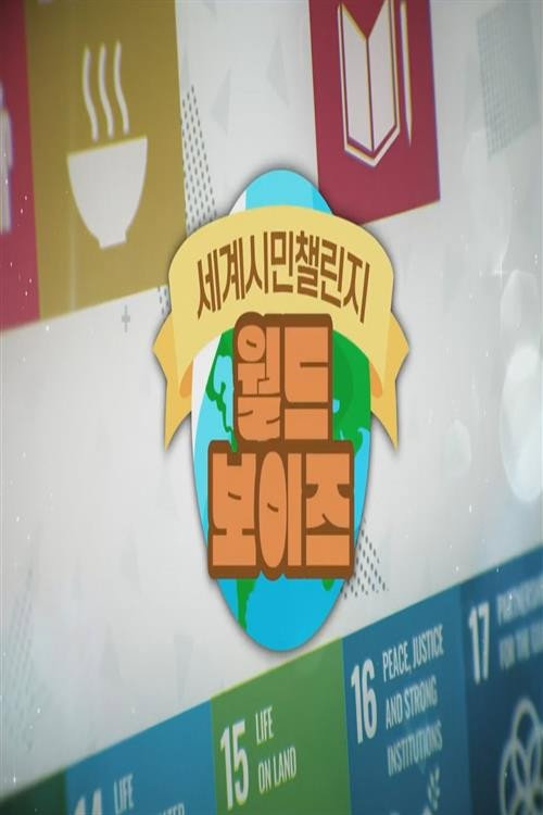 세계시민챌린지: 월드보이즈电影海报