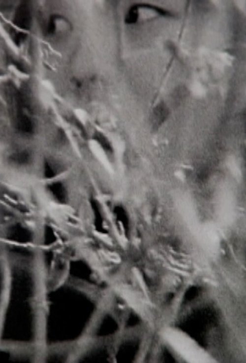 Visible Cinema