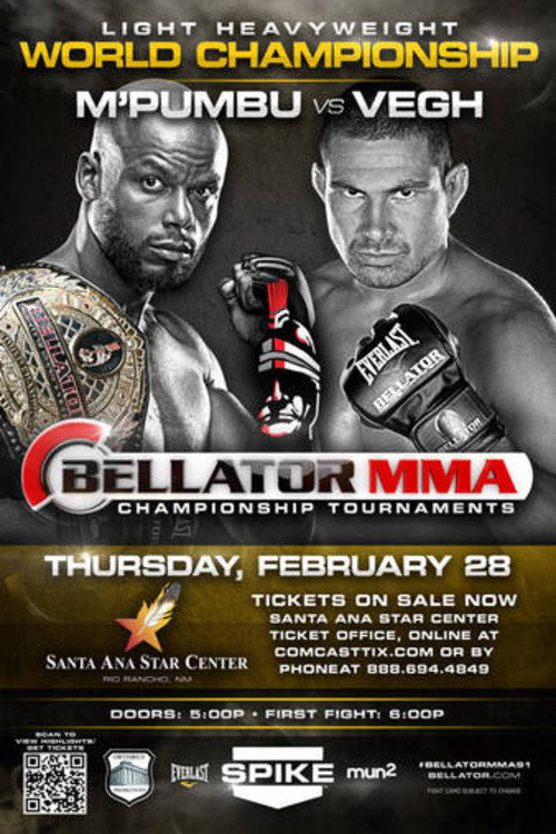 Bellator 91电影海报
