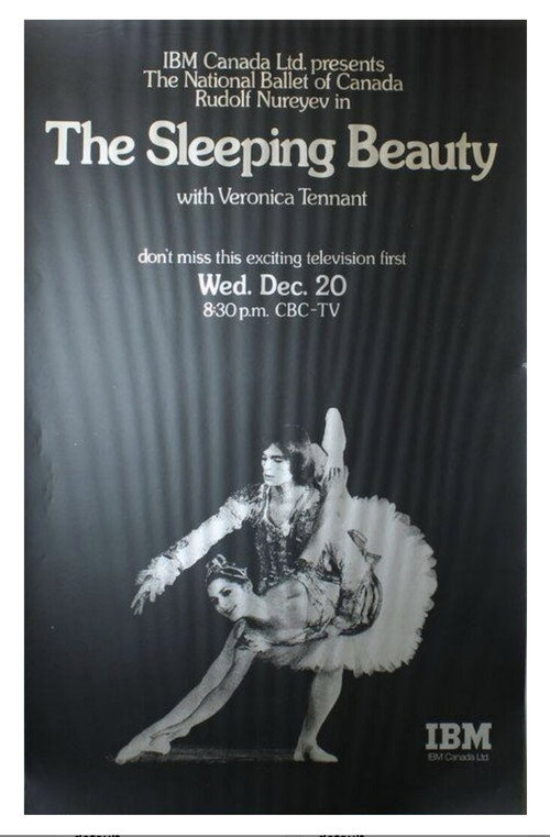 The Sleeping Beauty poster 4