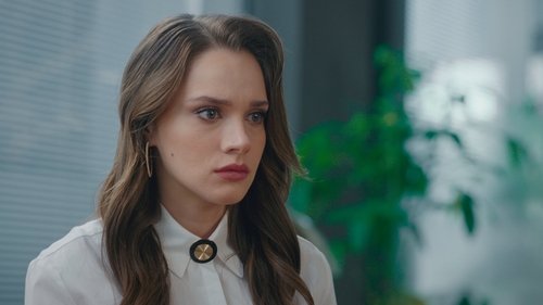 Kuş Uçuşu - 5. Bölüm