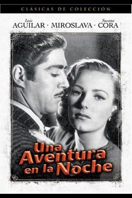An Adventure in the Night poster 2