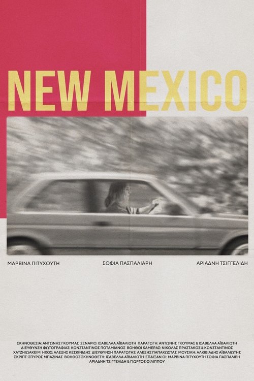 NEW MEXICO Poster