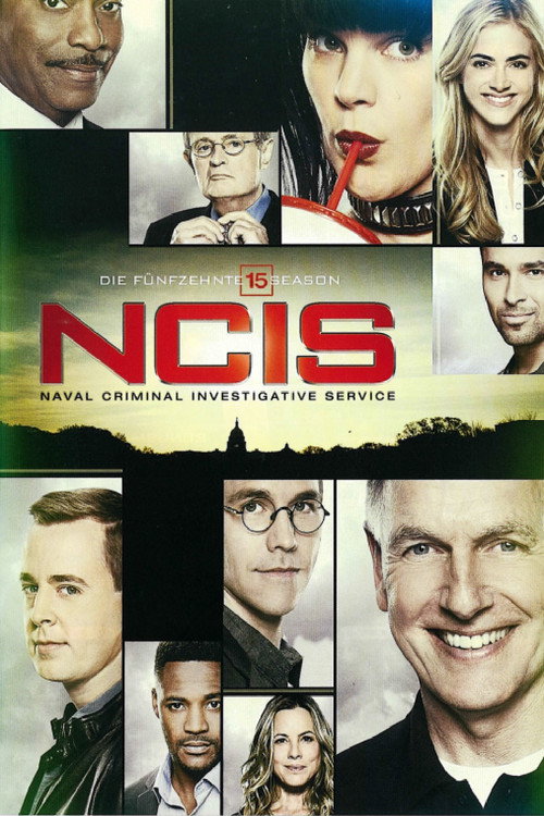 Staffel 15