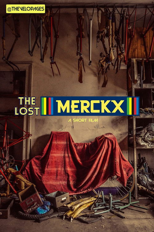 The Lost Mercx