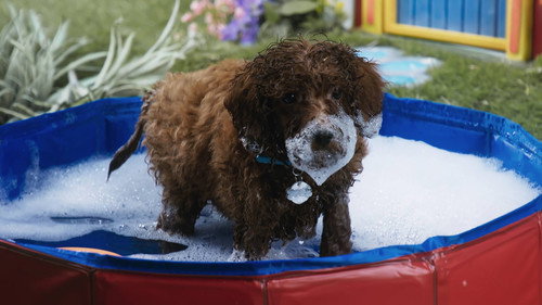 Bath Time