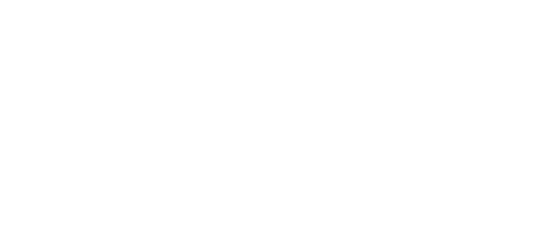 THE SHADOW STRAYS Logo