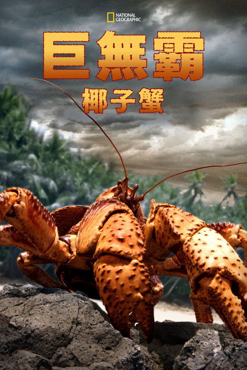 The Giant Robber Crab电影海报