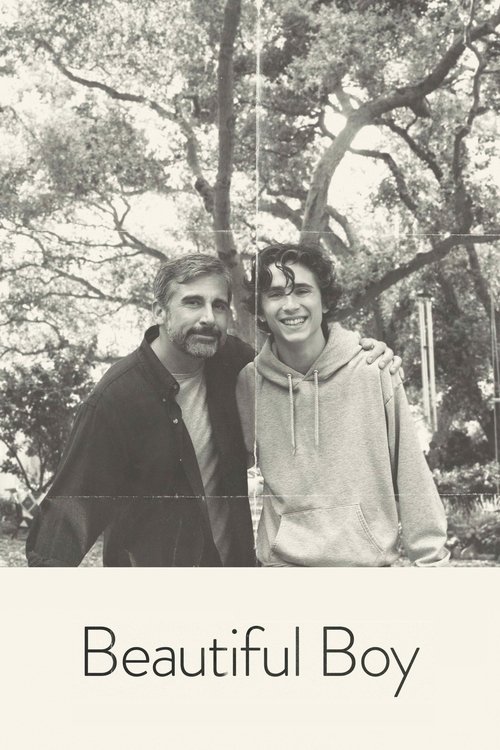 Beautiful Boy (2018) Full Movie