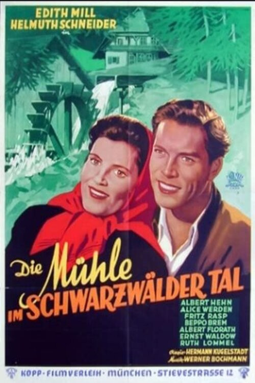 Die Mühle im Schwarzwäldertal poster 2