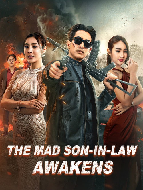 The Mad Son-in-Law Awakens电影海报