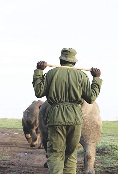 Telecharger Kifaru (2019) Film Complet en HD Gratuit Regarder Kifaru (2019) le film en streaming complet en ligne