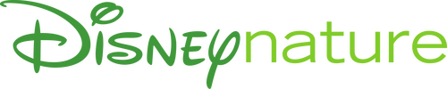 Production Company Logo