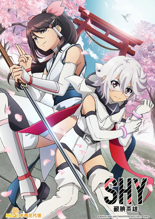 腼腆英雄电影海报