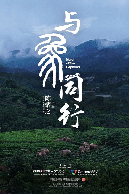 与象同行电影海报