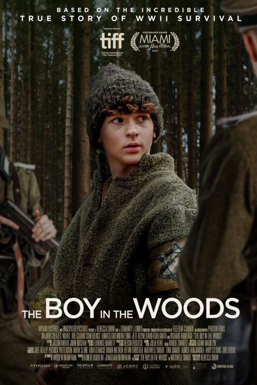 The+Boy+in+the+Woods