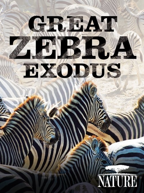 Nature%3A+Great+Zebra+Exodus