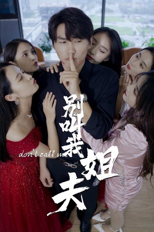 别叫我姐夫电影海报