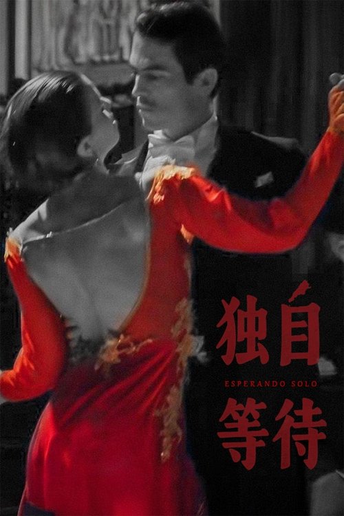 美洲大宝荐:独自等待