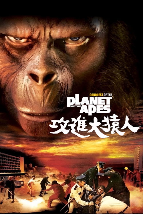 猩球征服电影海报