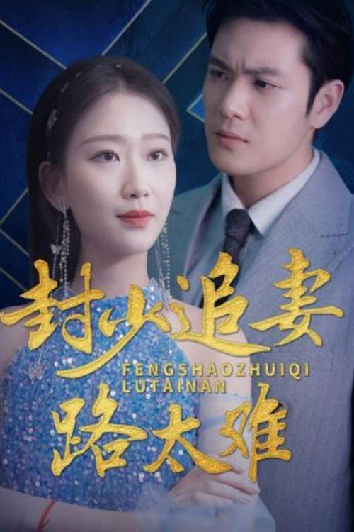 封少追妻路太难电影海报