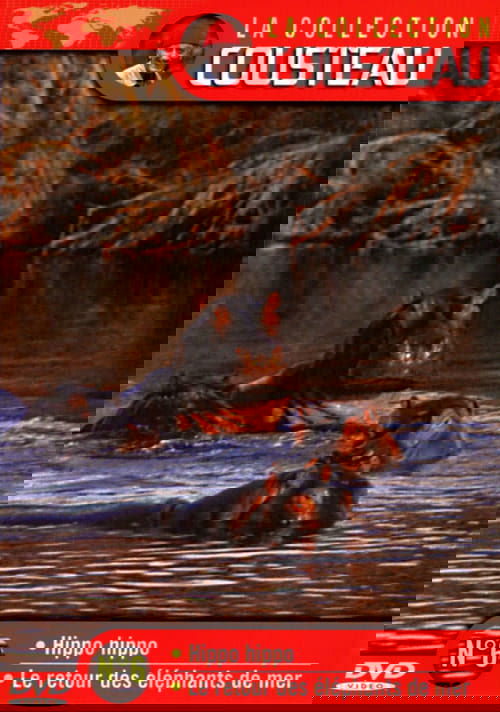 The Cousteau Collection N°6-1 | Hippo, Hippo Poster