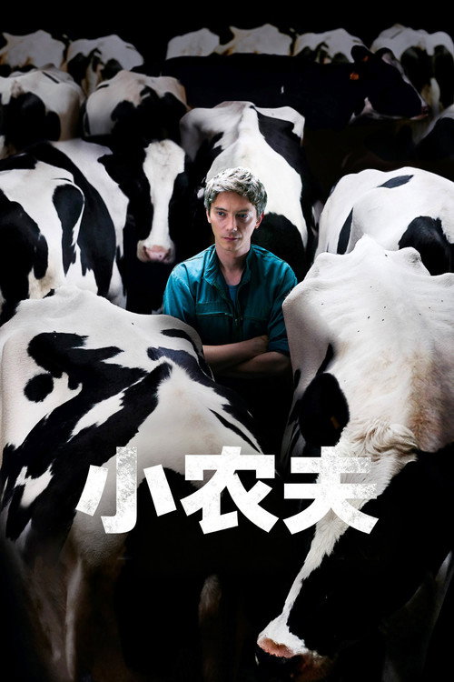 小农夫电影海报