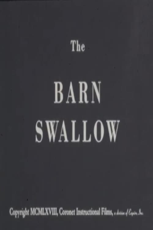 The+Barn+Swallow