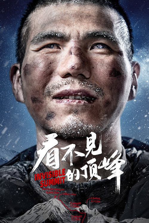 看不见的顶峰电影海报