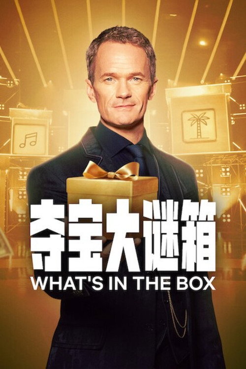 夺宝大谜箱电影海报