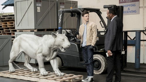 The Flash - When Harry Met Harry...