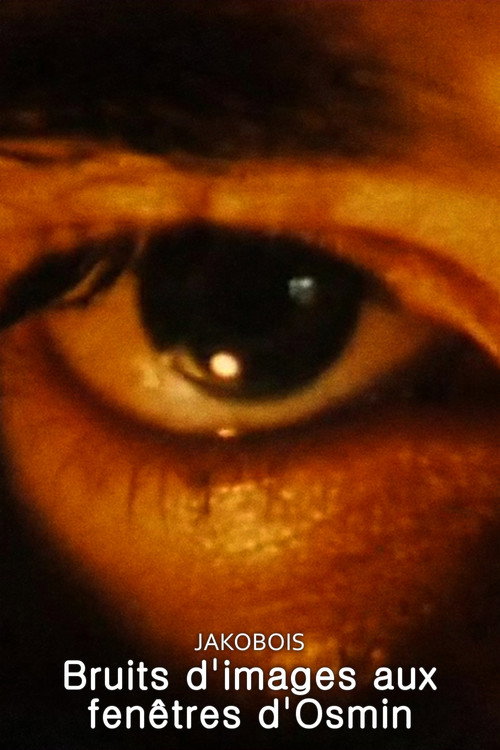 Image Noise (Osmin's Windows) poster 6