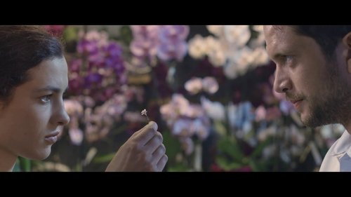 The Infinite Garden (2017) watch movies online free