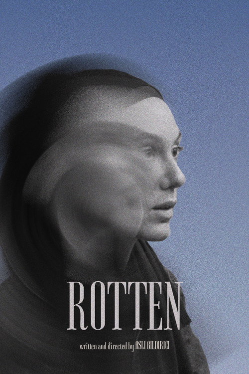 Rotten poster 2
