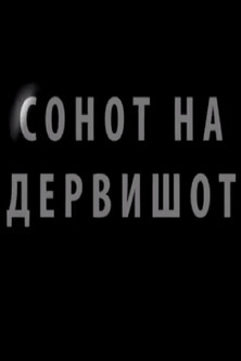 The Dream of the Dervish