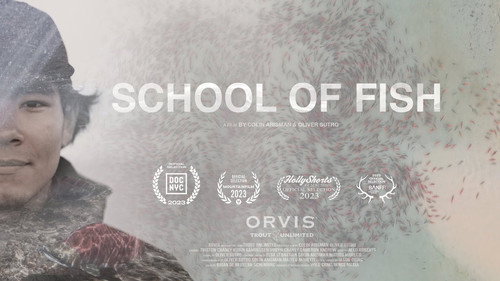 School of Fish