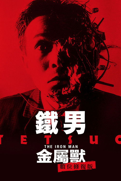 铁男1：金属兽电影海报