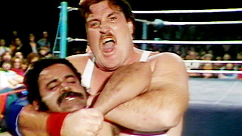 WWF Championship Wrestling - Dec. 06, 1980