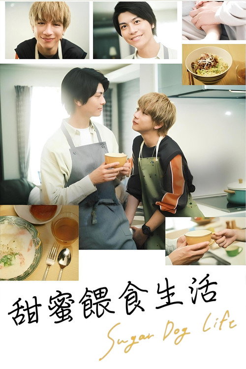 甜蜜喂食生活电影海报