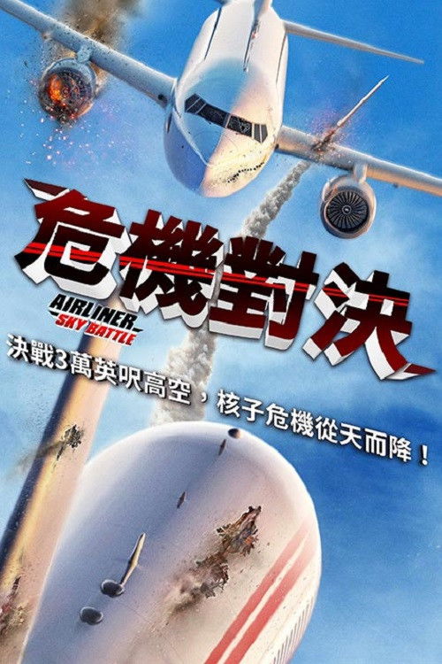 客机空战电影海报