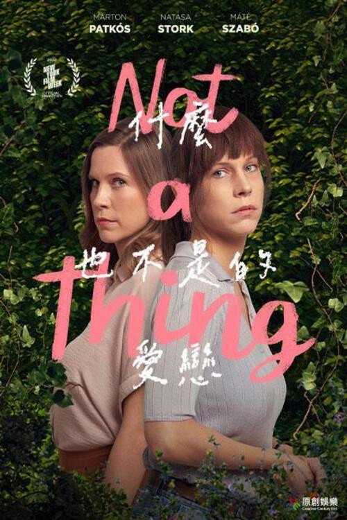 什么也不是的爱恋电影海报