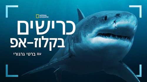 Backdrop