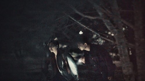 A Nocturnal Roam