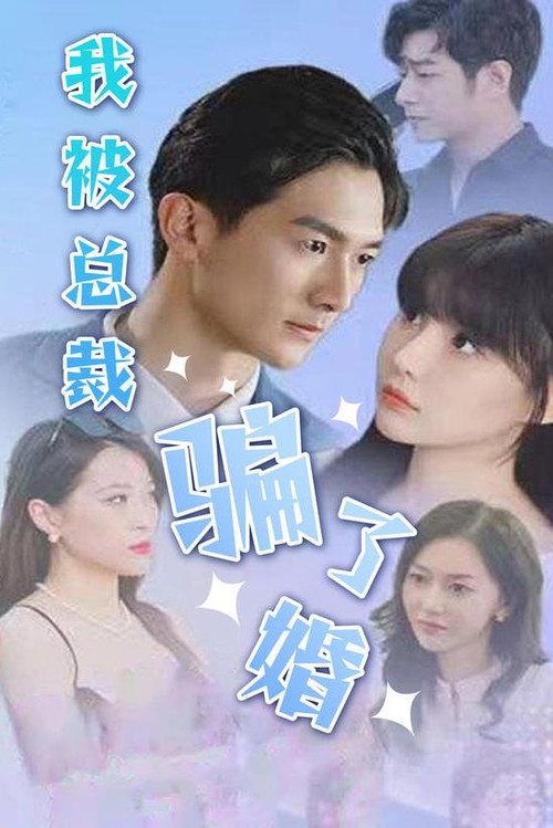 我被总裁骗了婚电影海报