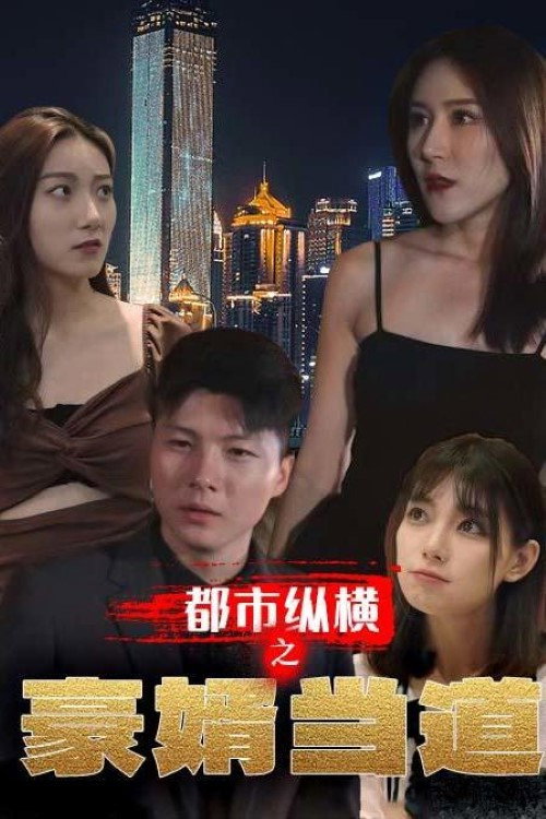 都市纵横之豪婿当道电影海报