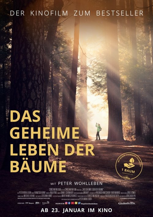 Das geheime Leben der Bäume (2020) Ver Pelicula Completa Streaming Online