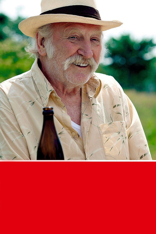 Echte Wiener - Die Sackbauer-Saga poster 5