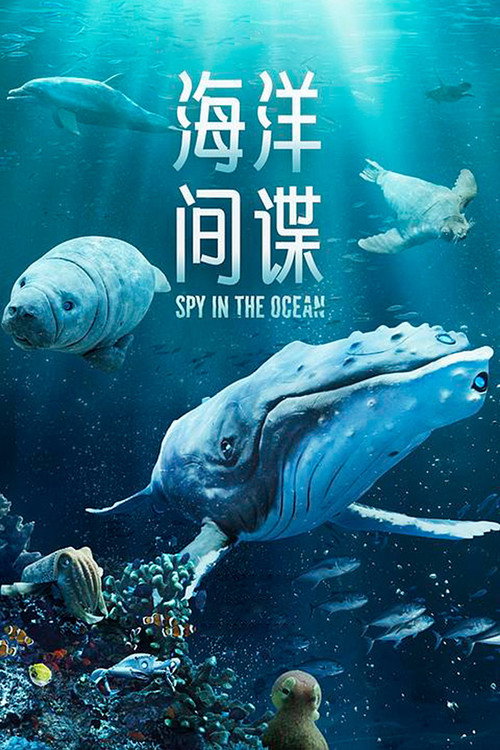 海洋间谍电影海报